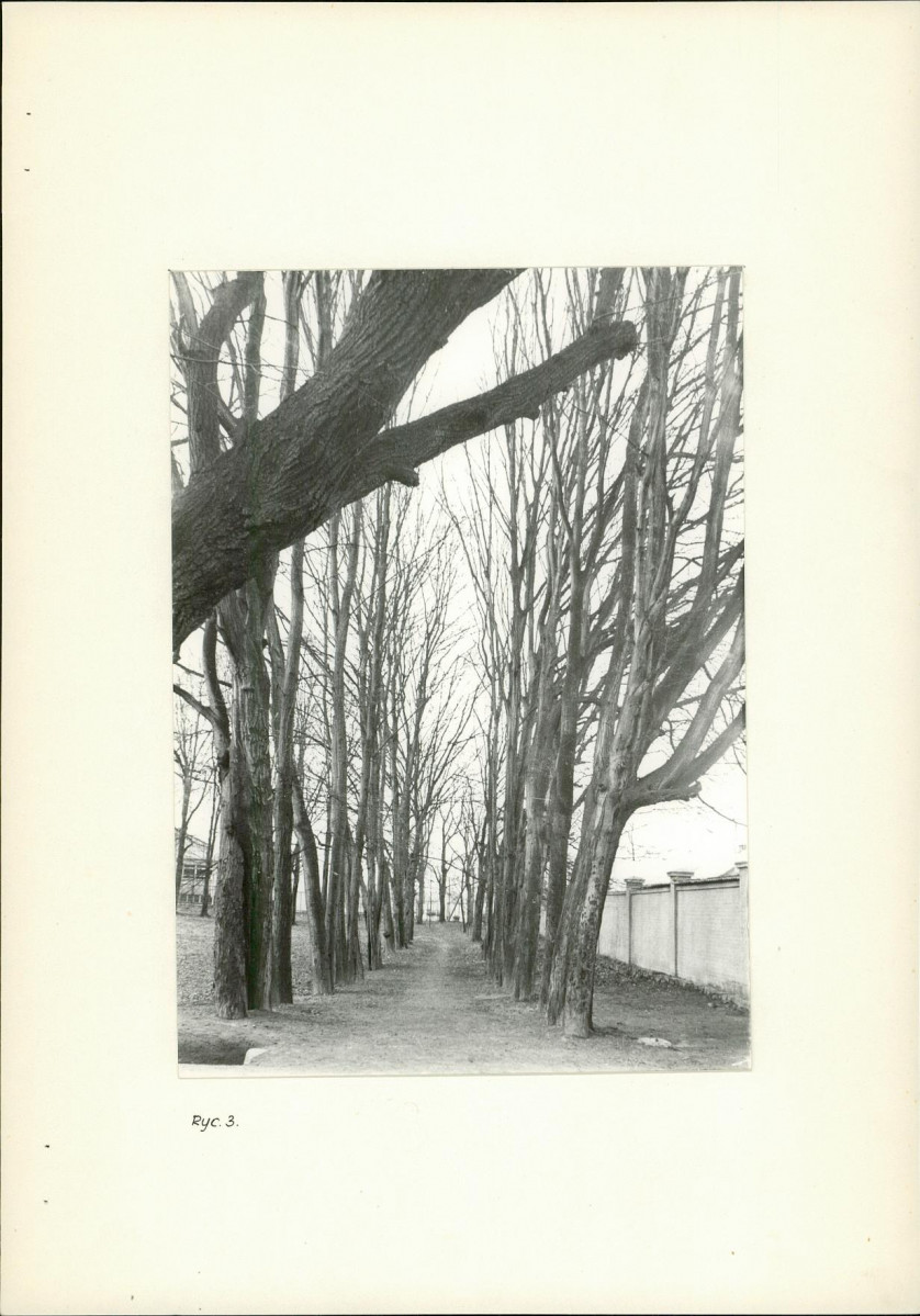 Ewidencja parkowa, skan nr 10