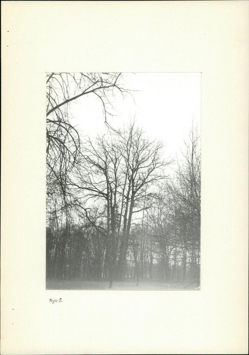 Ewidencja parkowa, skan nr 12