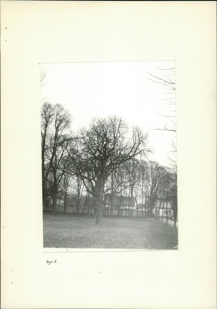 Ewidencja parkowa, skan nr 13