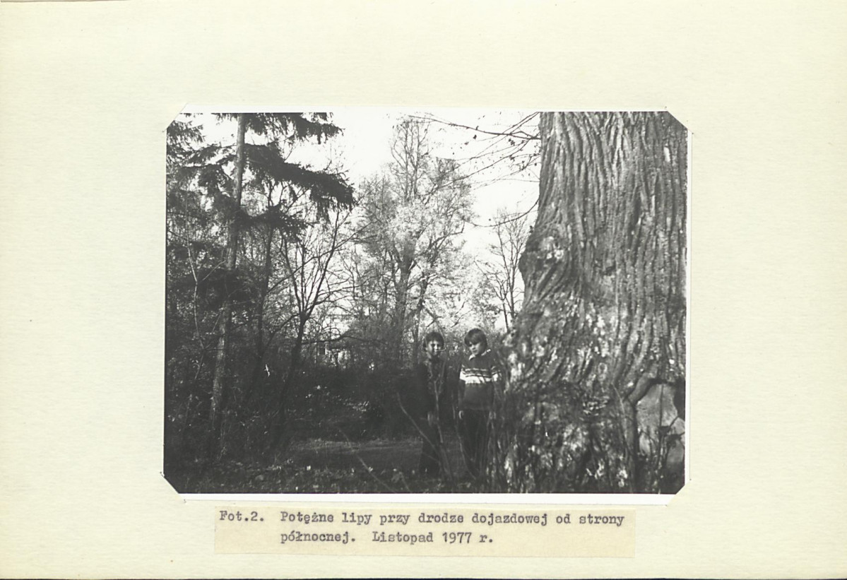 Ewidencja parkowa, skan nr 21