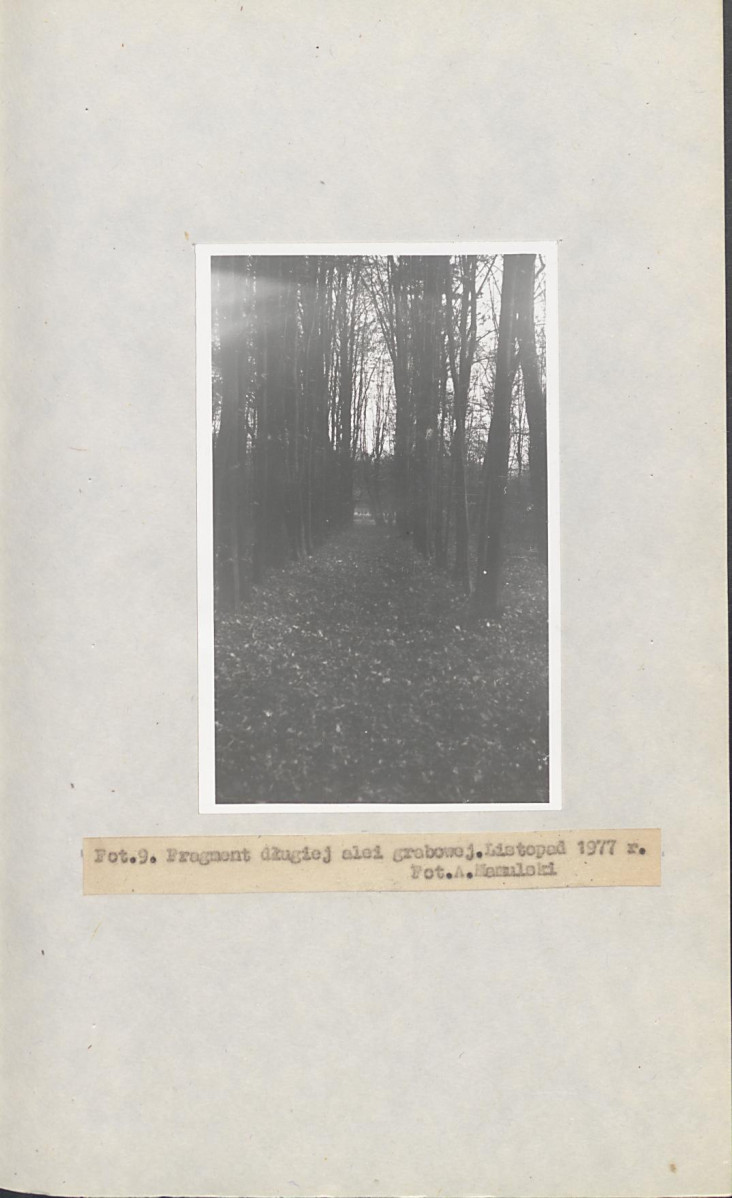 Ewidencja parkowa, skan nr 28