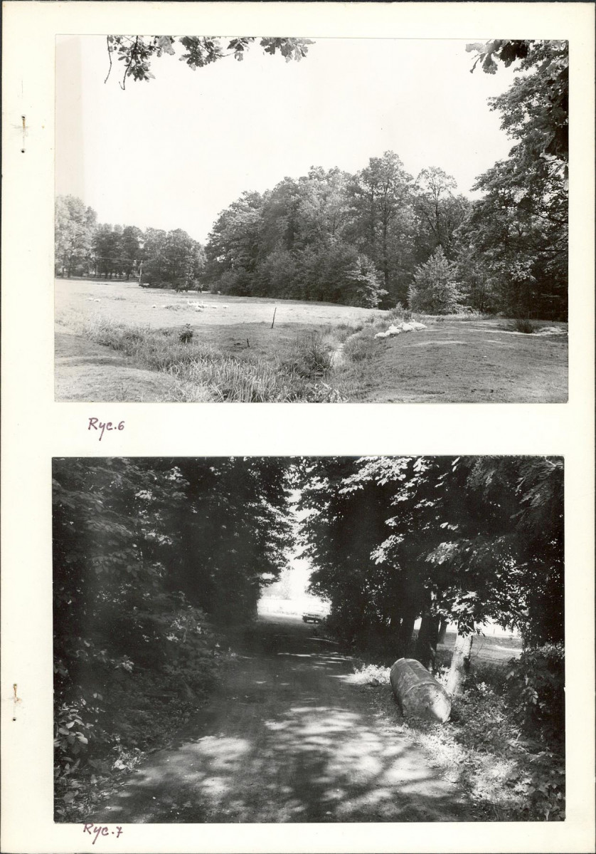 Ewidencja parkowa, skan nr 15