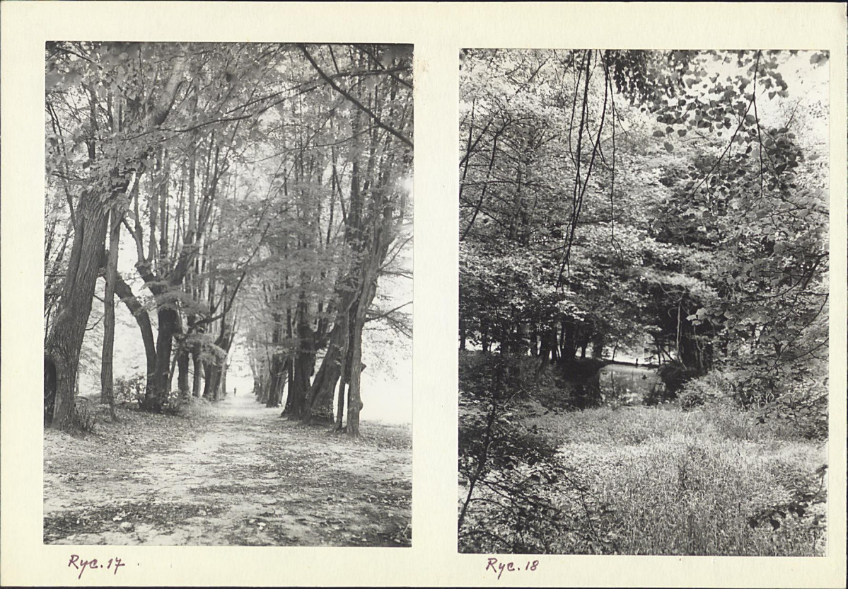 Ewidencja parkowa, skan nr 24