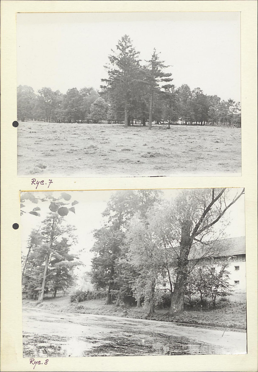 Ewidencja parkowa, skan nr 17