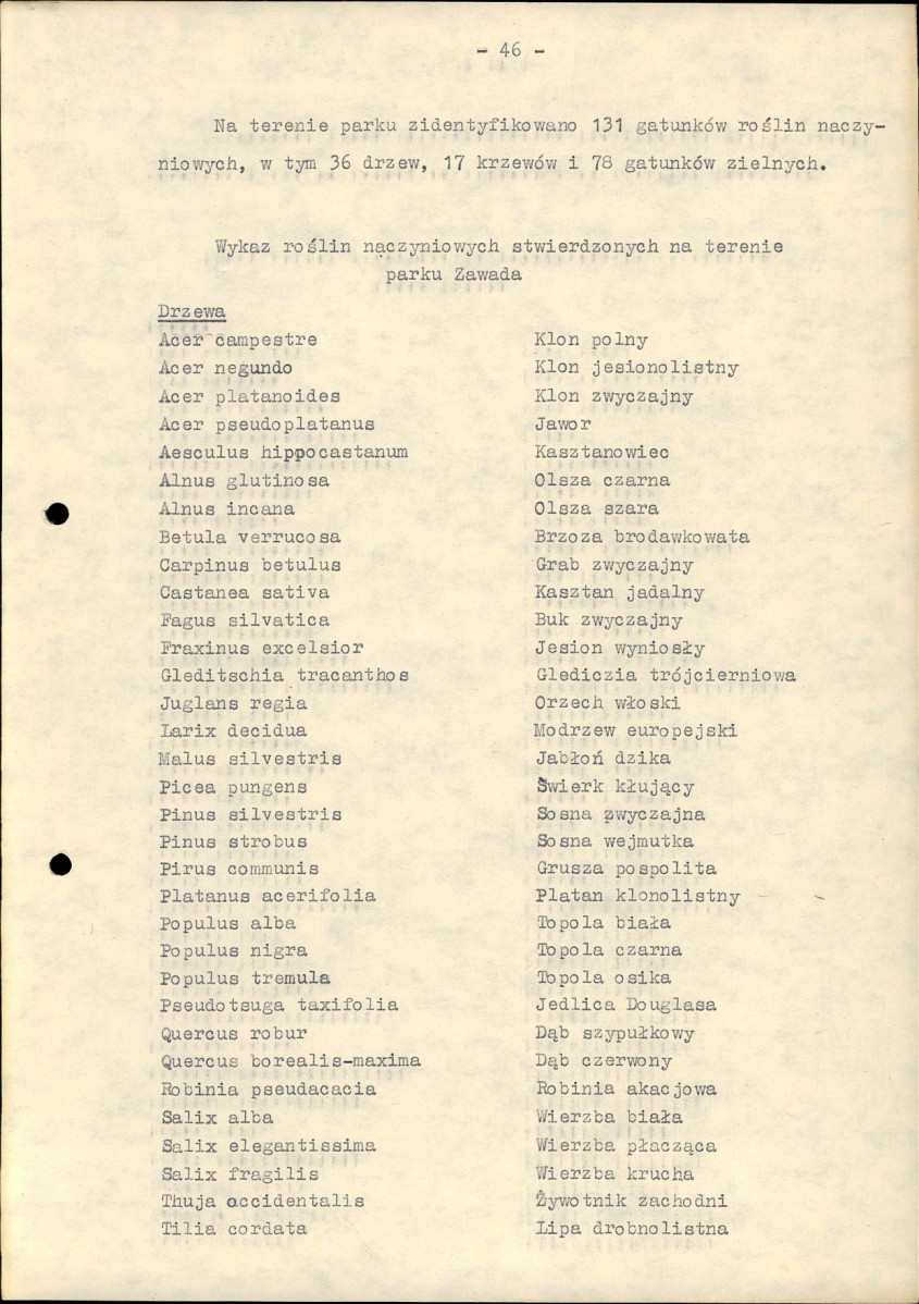 EP - Ewidencja parkowa, skan nr 53