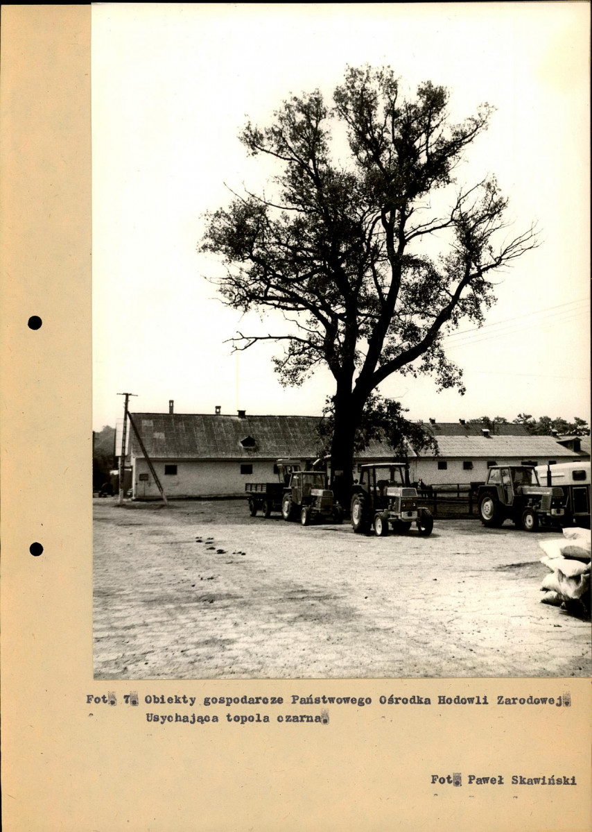 EP - Ewidencja parkowa, skan nr 71