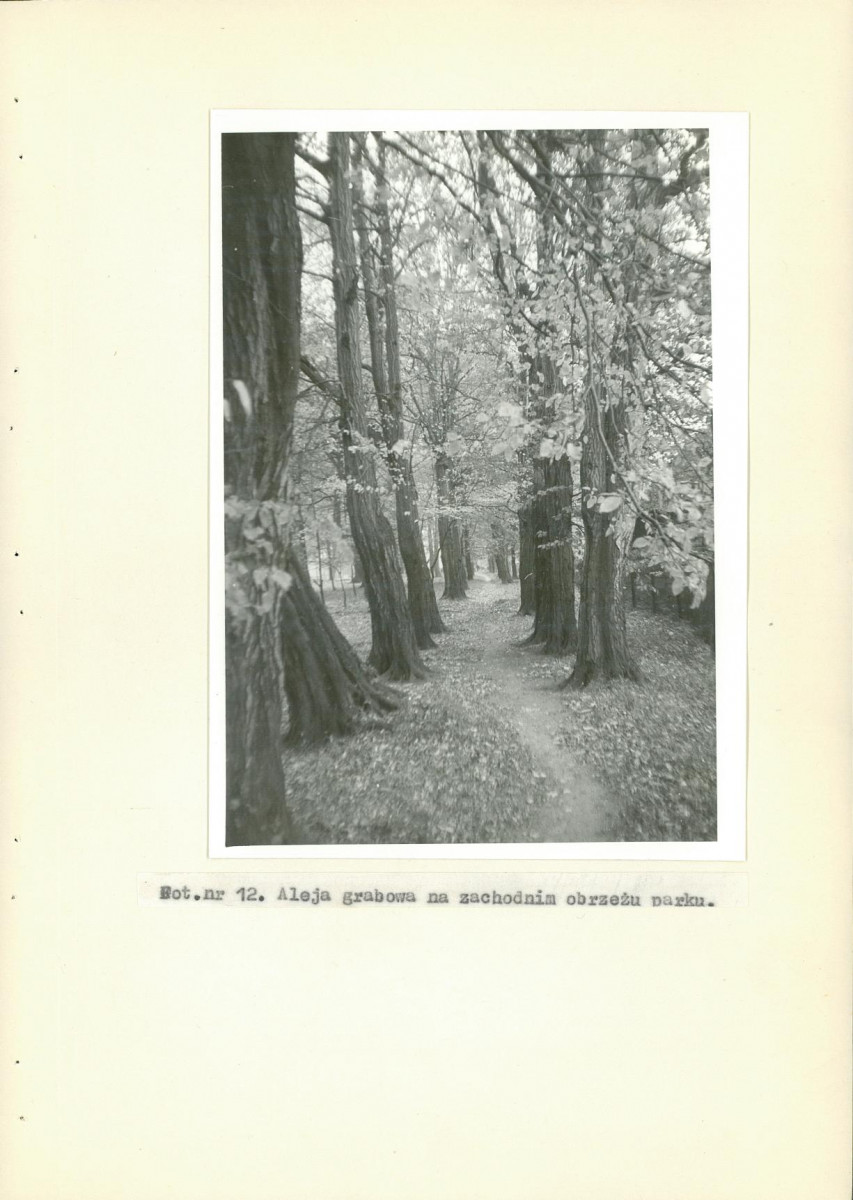 EP - Ewidencja parkowa, skan nr 40