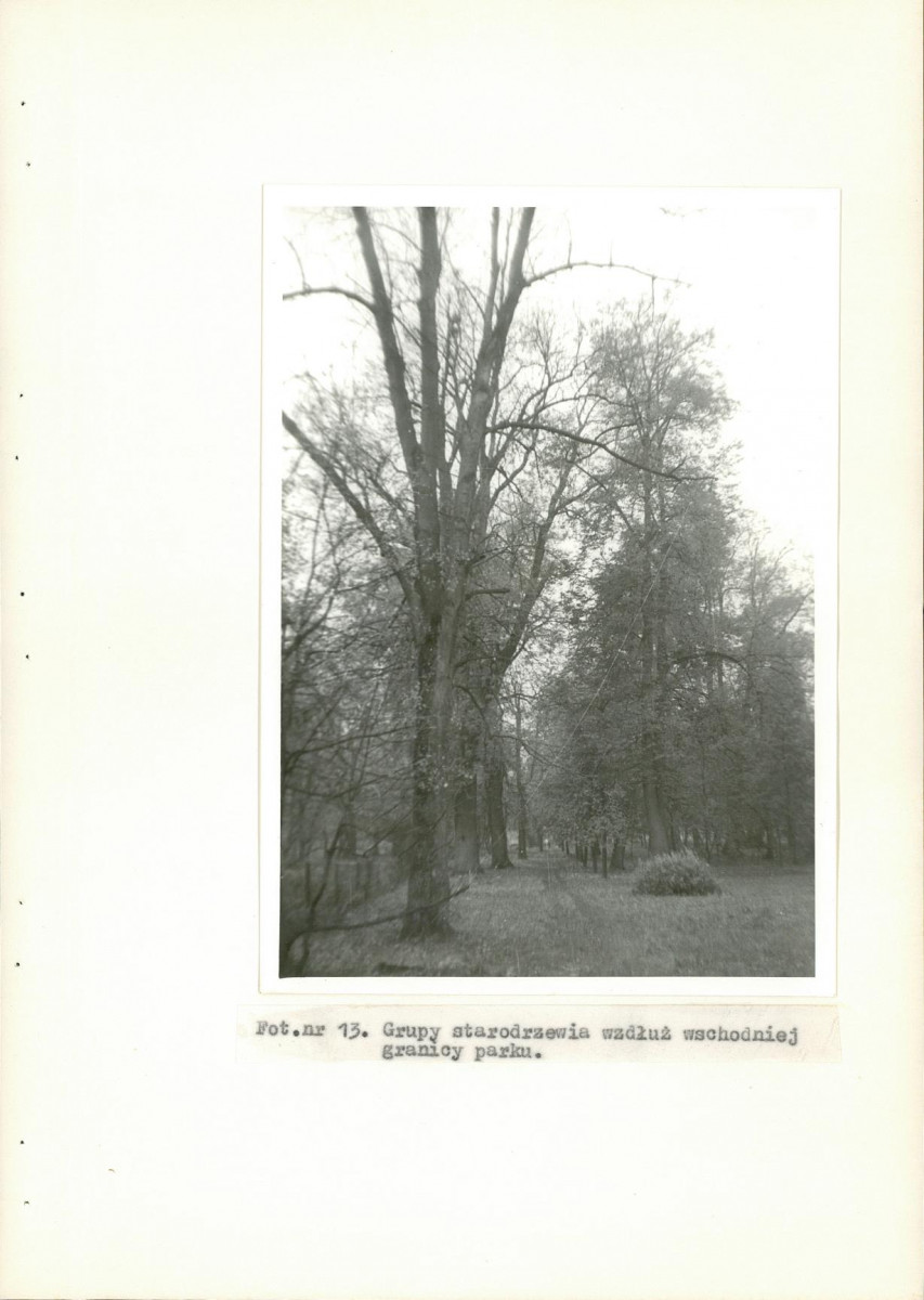 EP - Ewidencja parkowa, skan nr 41