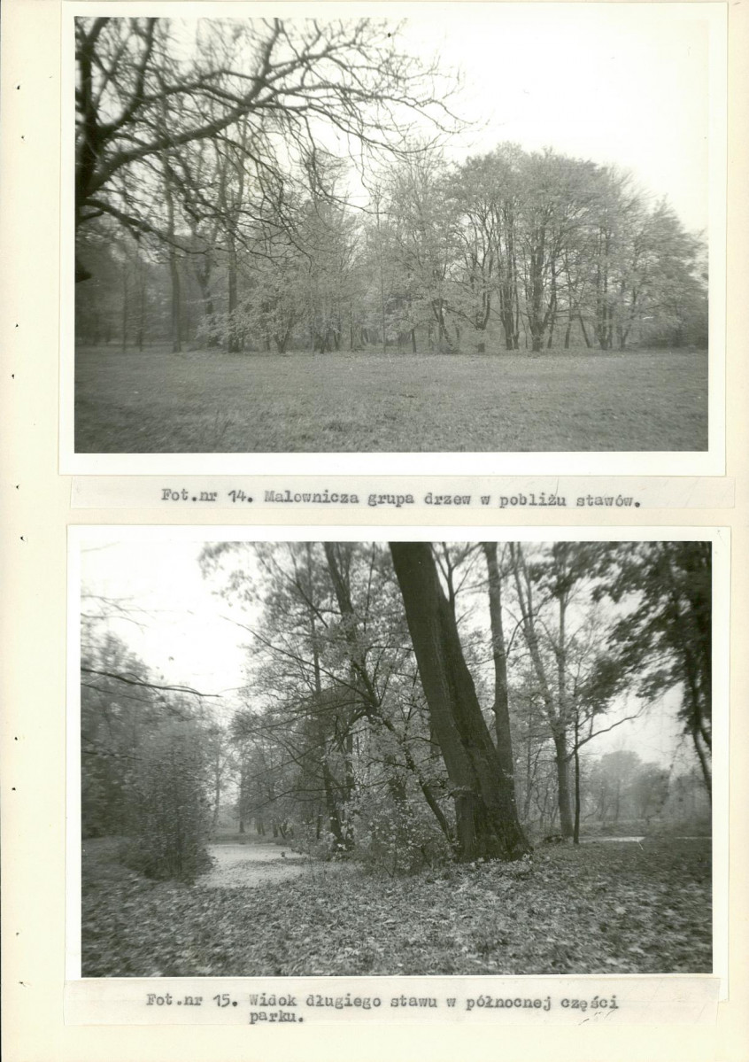 EP - Ewidencja parkowa, skan nr 42