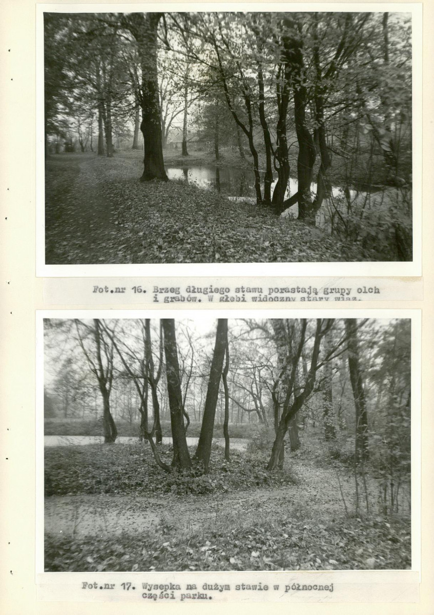 EP - Ewidencja parkowa, skan nr 43