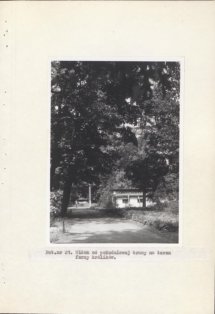 EP - Ewidencja parkowa, skan nr 48