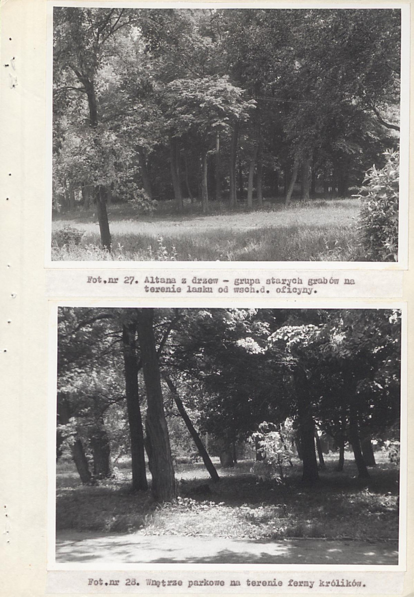 EP - Ewidencja parkowa, skan nr 53