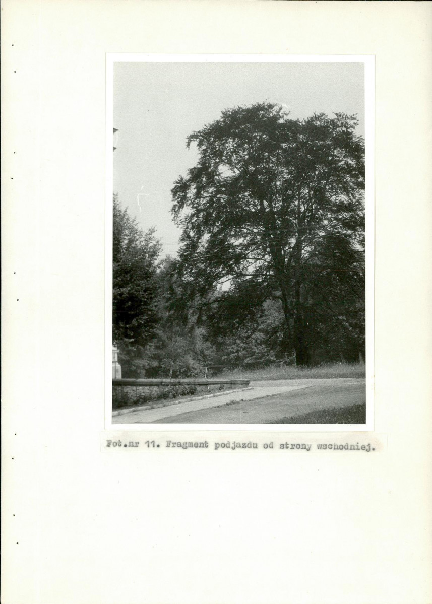 Ewidencja parkowa, skan nr 47