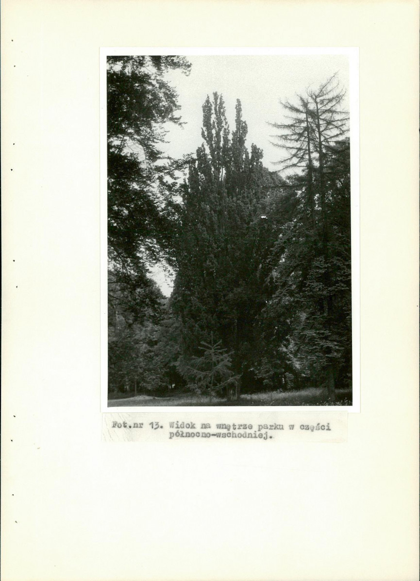 Ewidencja parkowa, skan nr 49