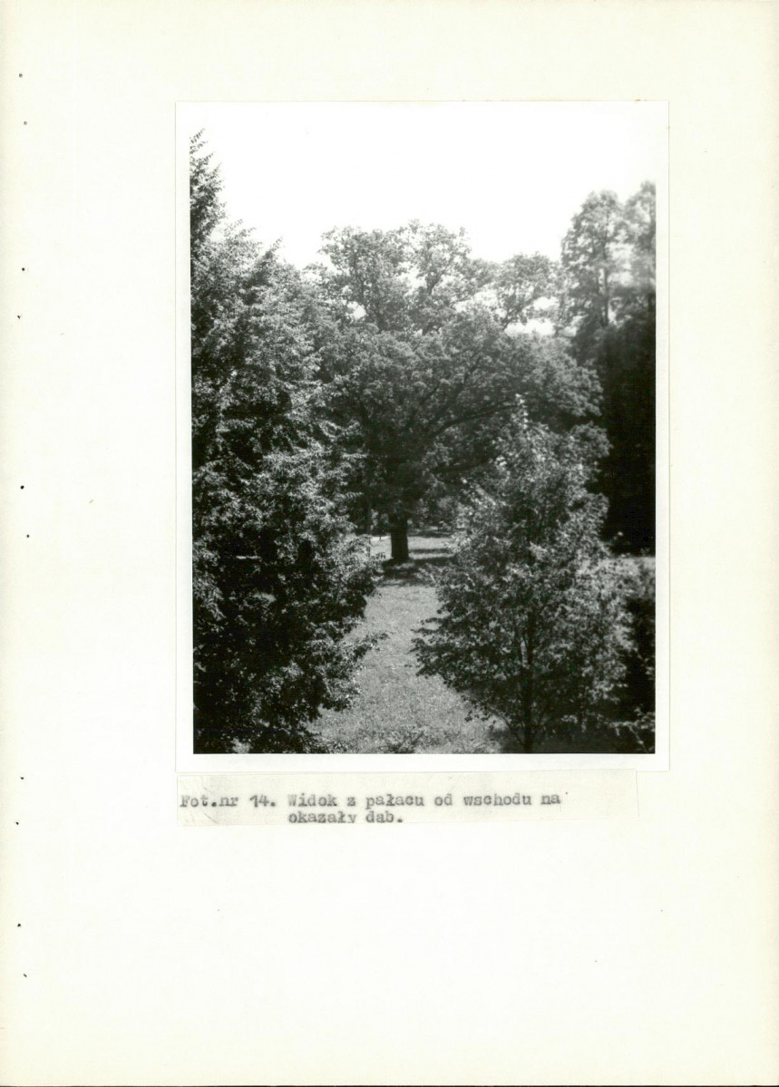 Ewidencja parkowa, skan nr 50
