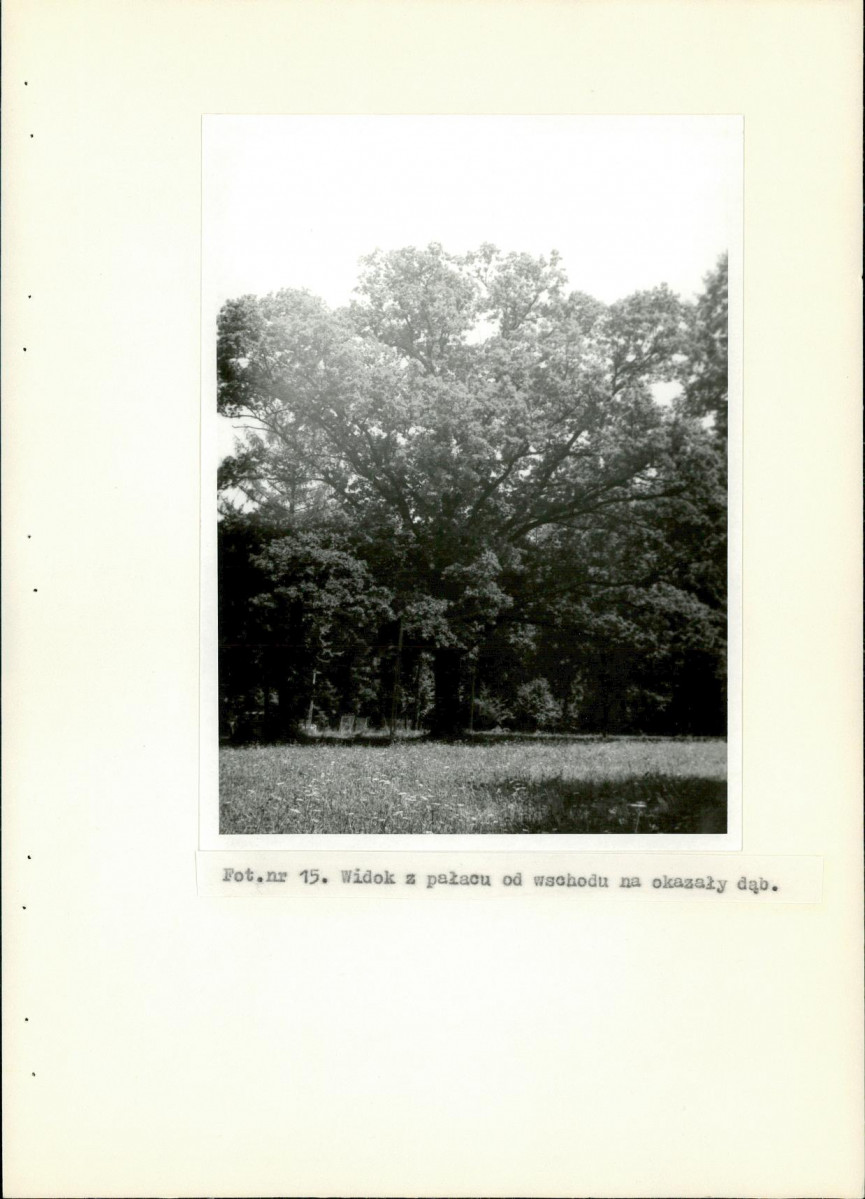 Ewidencja parkowa, skan nr 51
