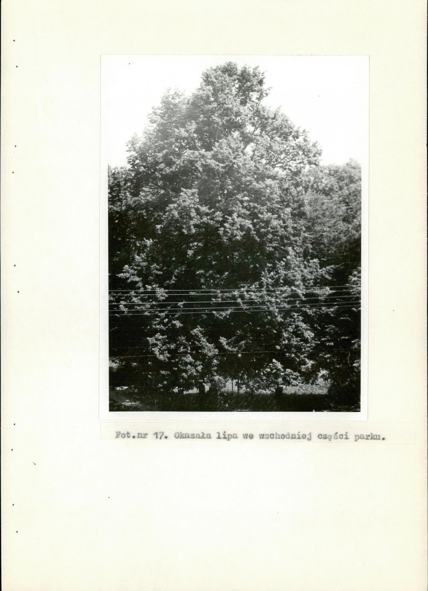 Ewidencja parkowa, skan nr 53
