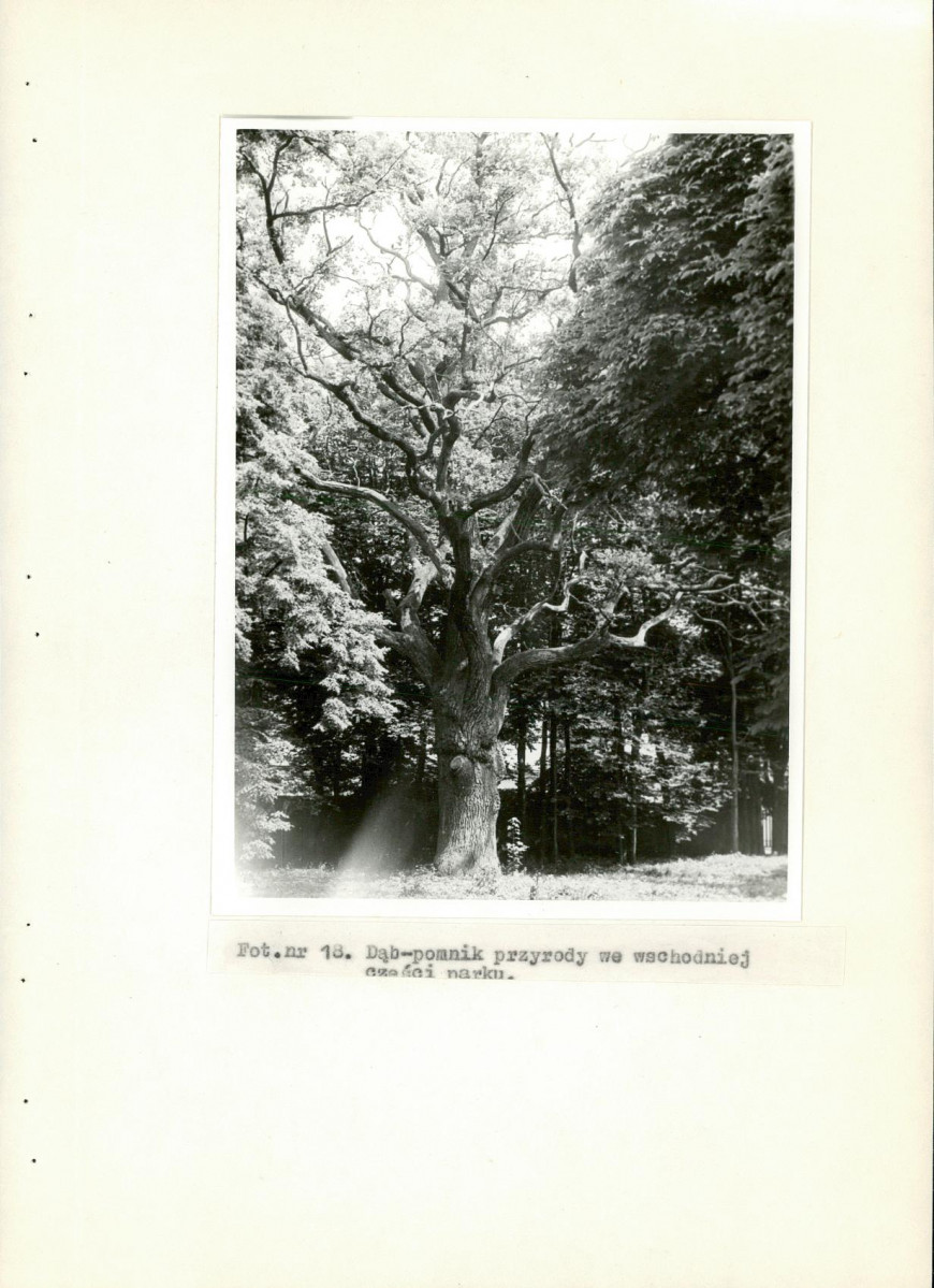Ewidencja parkowa, skan nr 54