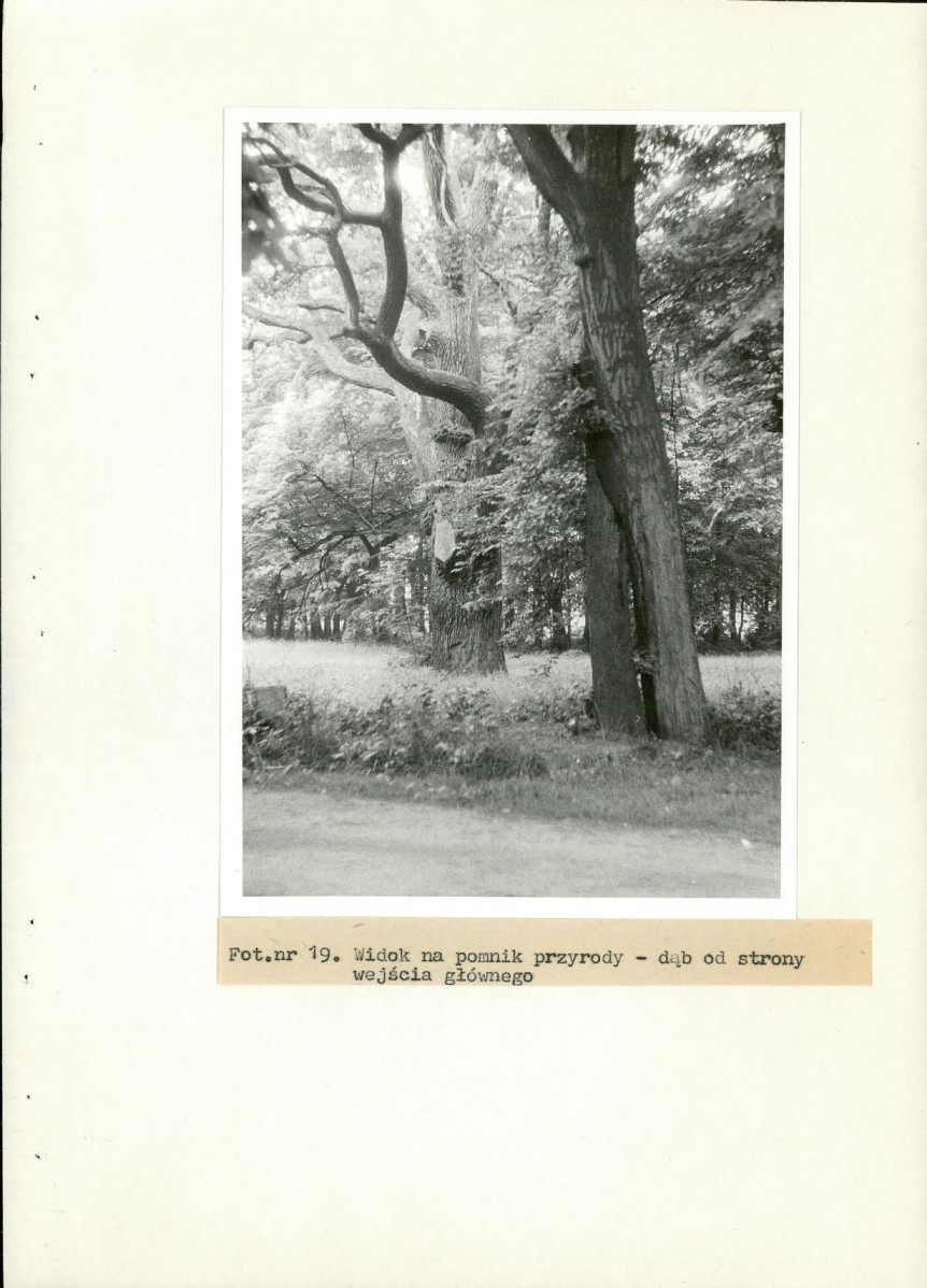 Ewidencja parkowa, skan nr 55
