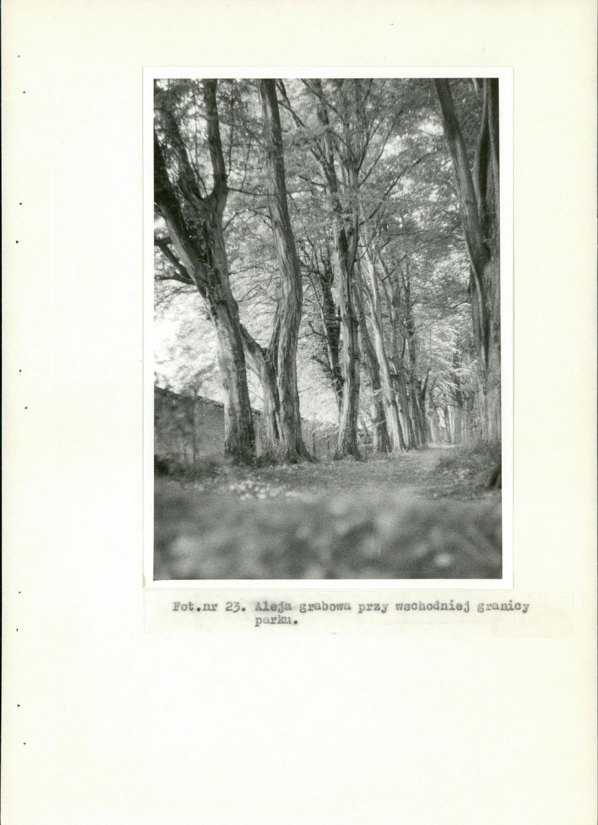 Ewidencja parkowa, skan nr 58