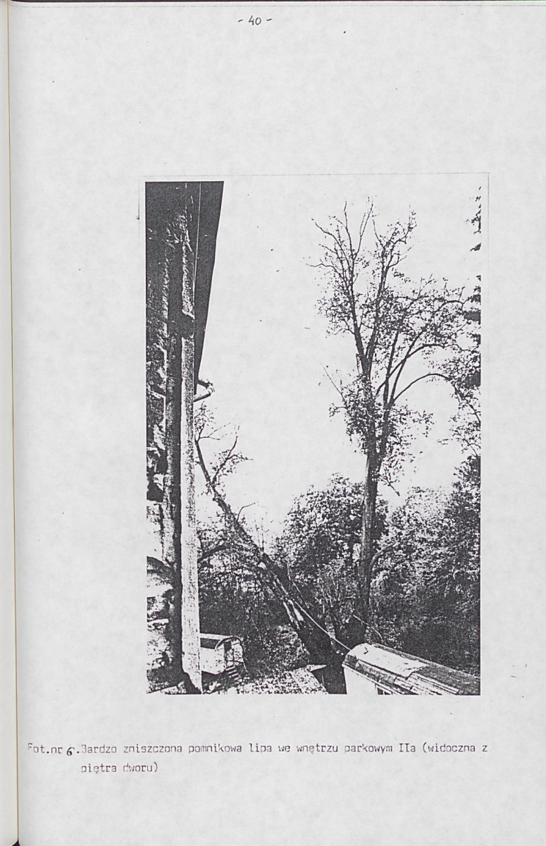 EP - Ewidencja parkowa, skan nr 49