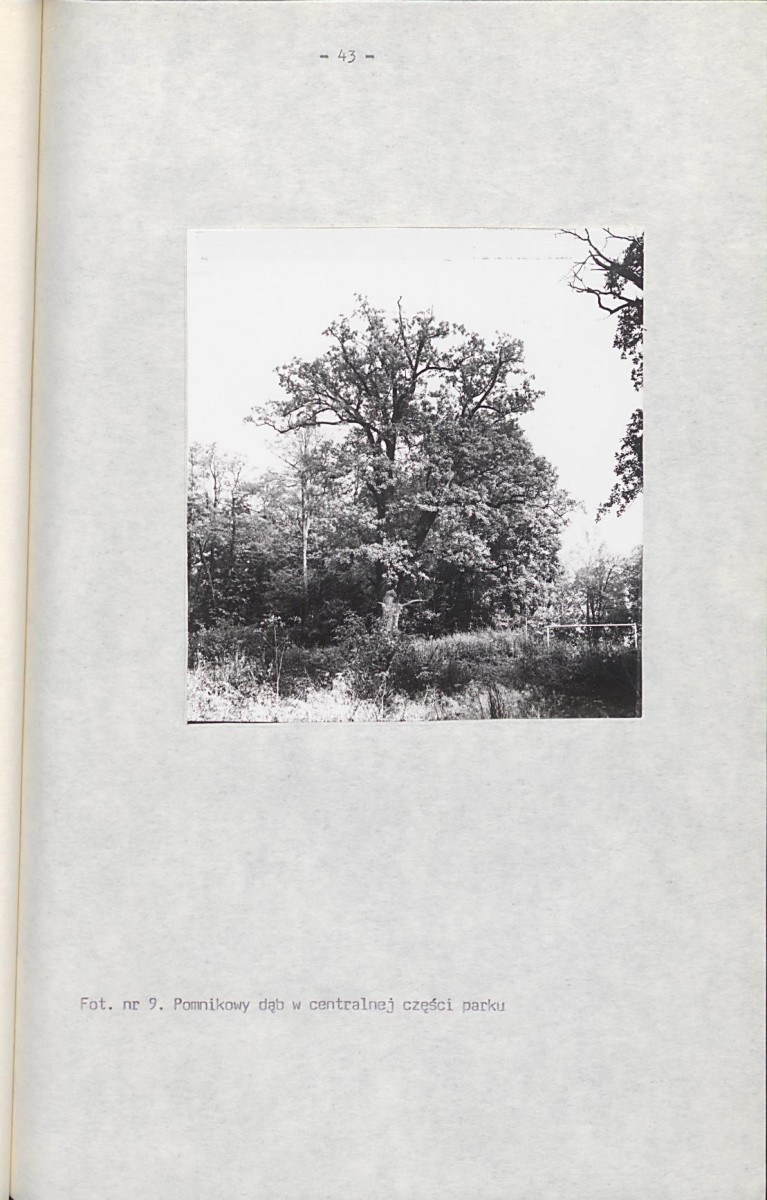 EP - Ewidencja parkowa, skan nr 70