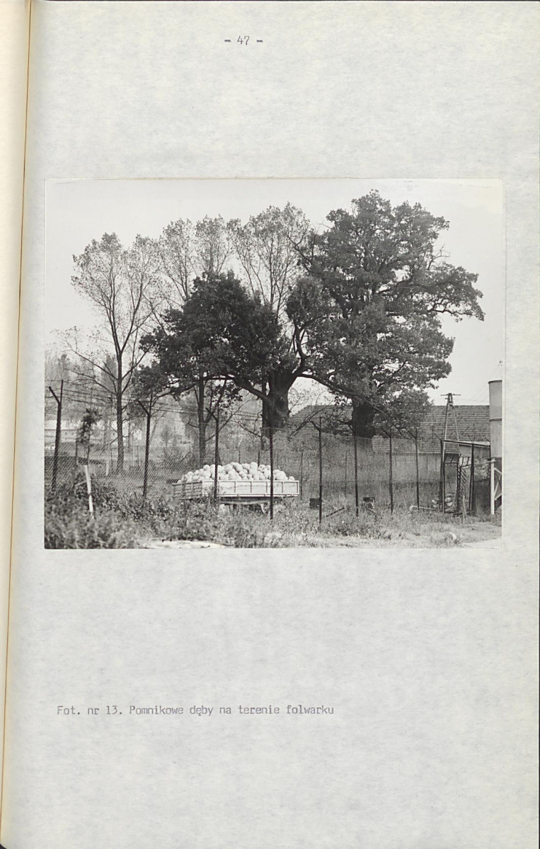 EP - Ewidencja parkowa, skan nr 74
