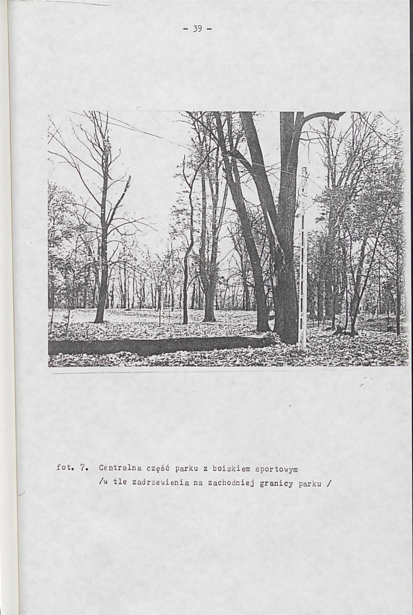 EP - Ewidencja parkowa, skan nr 49
