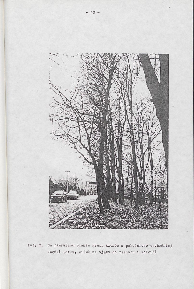 EP - Ewidencja parkowa, skan nr 50