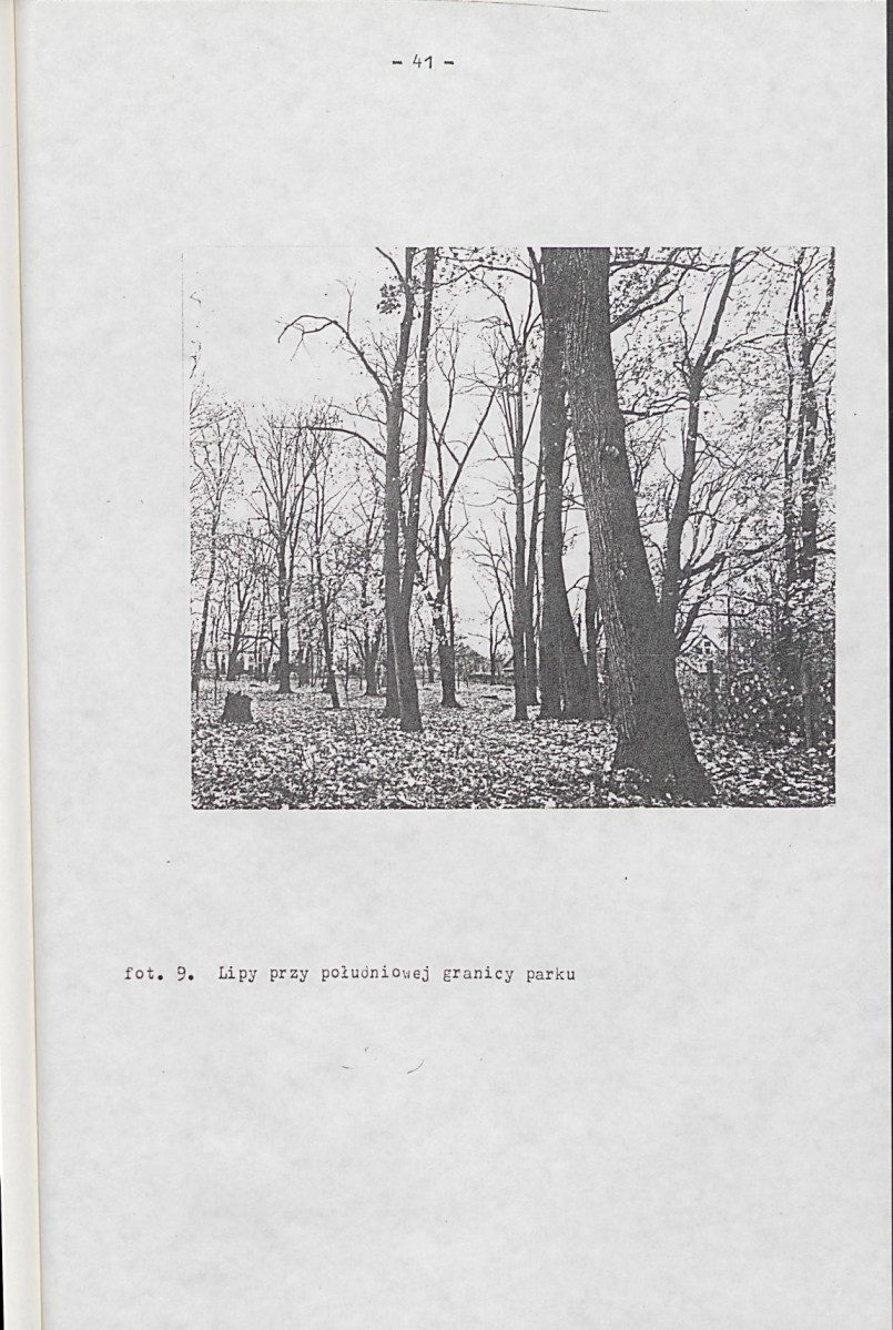 EP - Ewidencja parkowa, skan nr 51