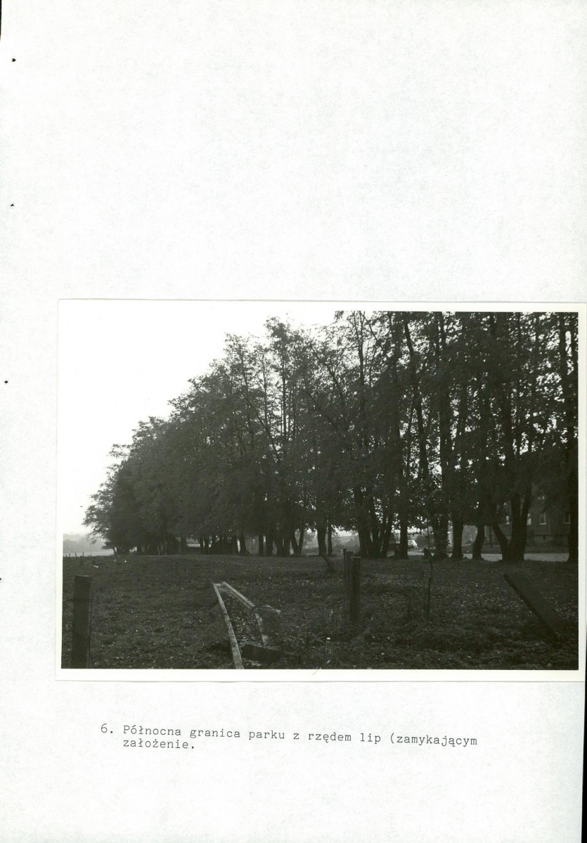 EP - Ewidencja parkowa, skan nr 44