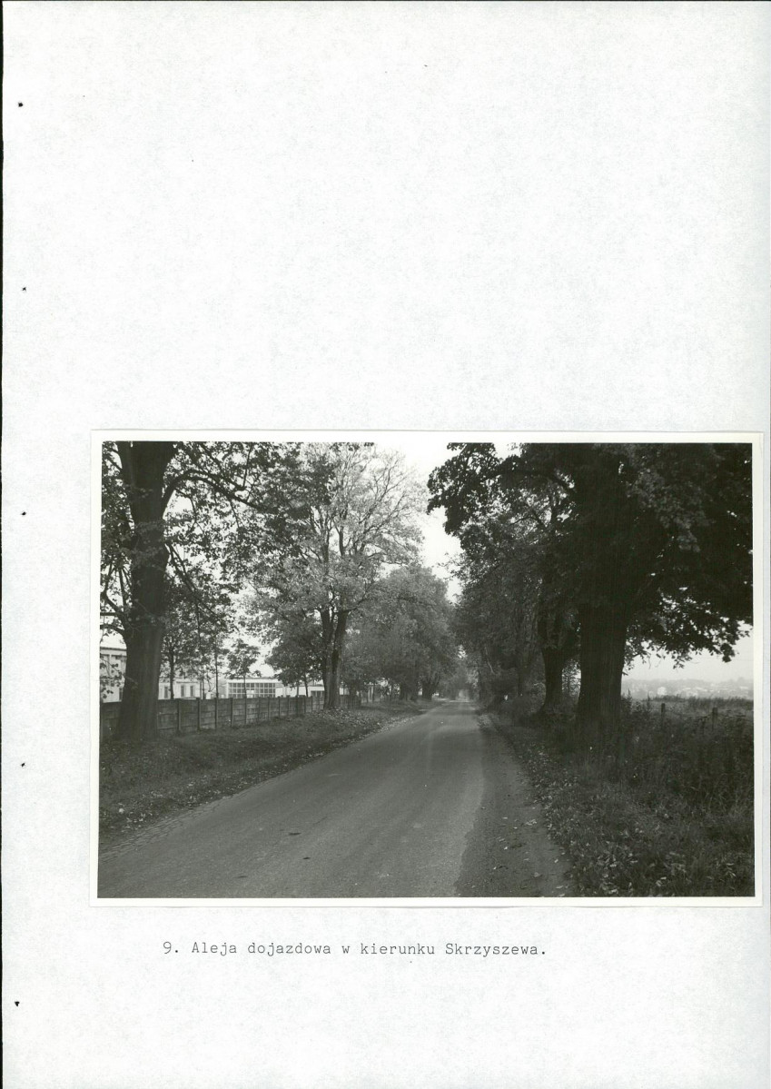 EP - Ewidencja parkowa, skan nr 47