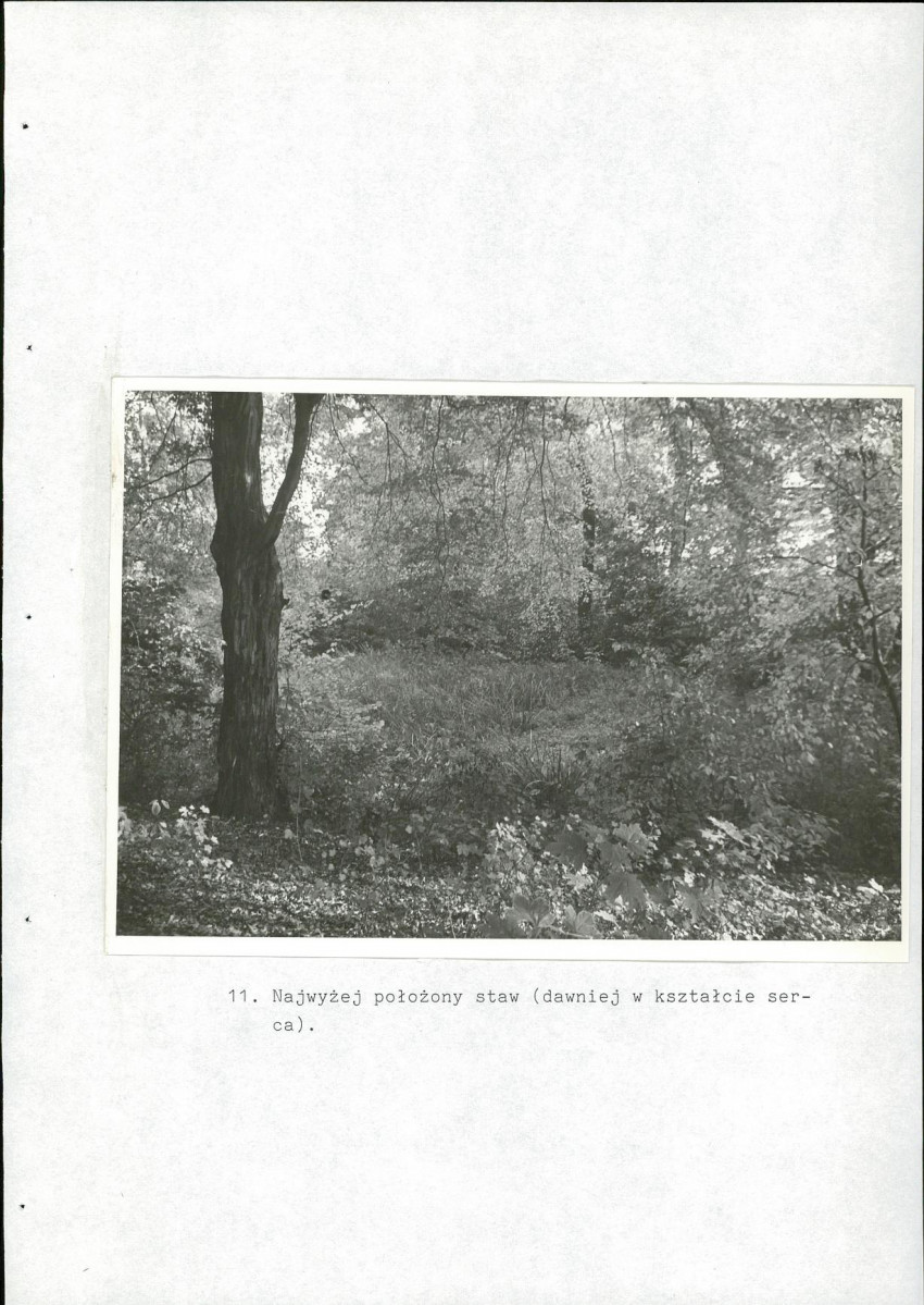 EP - Ewidencja parkowa, skan nr 49