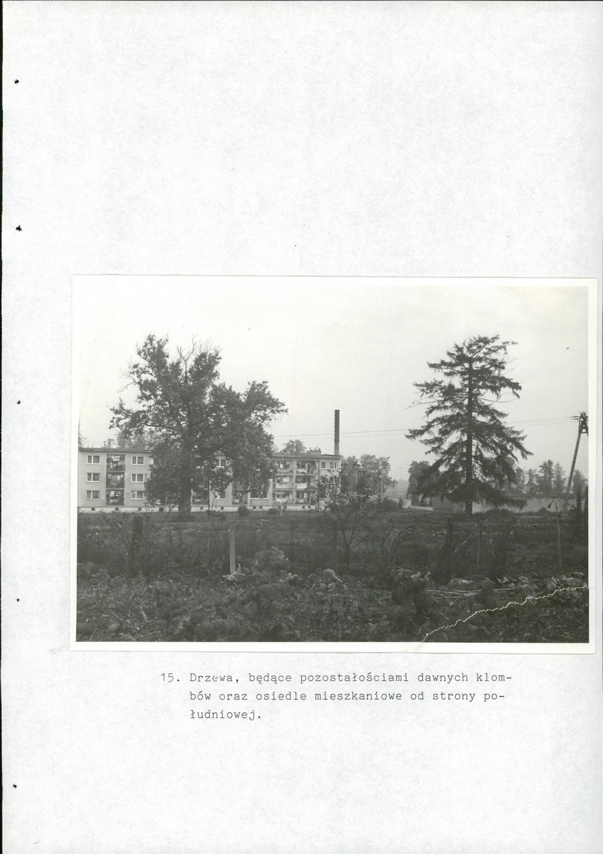 EP - Ewidencja parkowa, skan nr 53