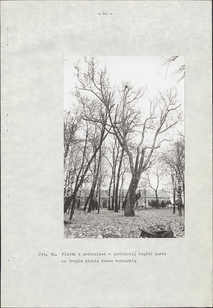 EP - Ewidencja parkowa, skan nr 64