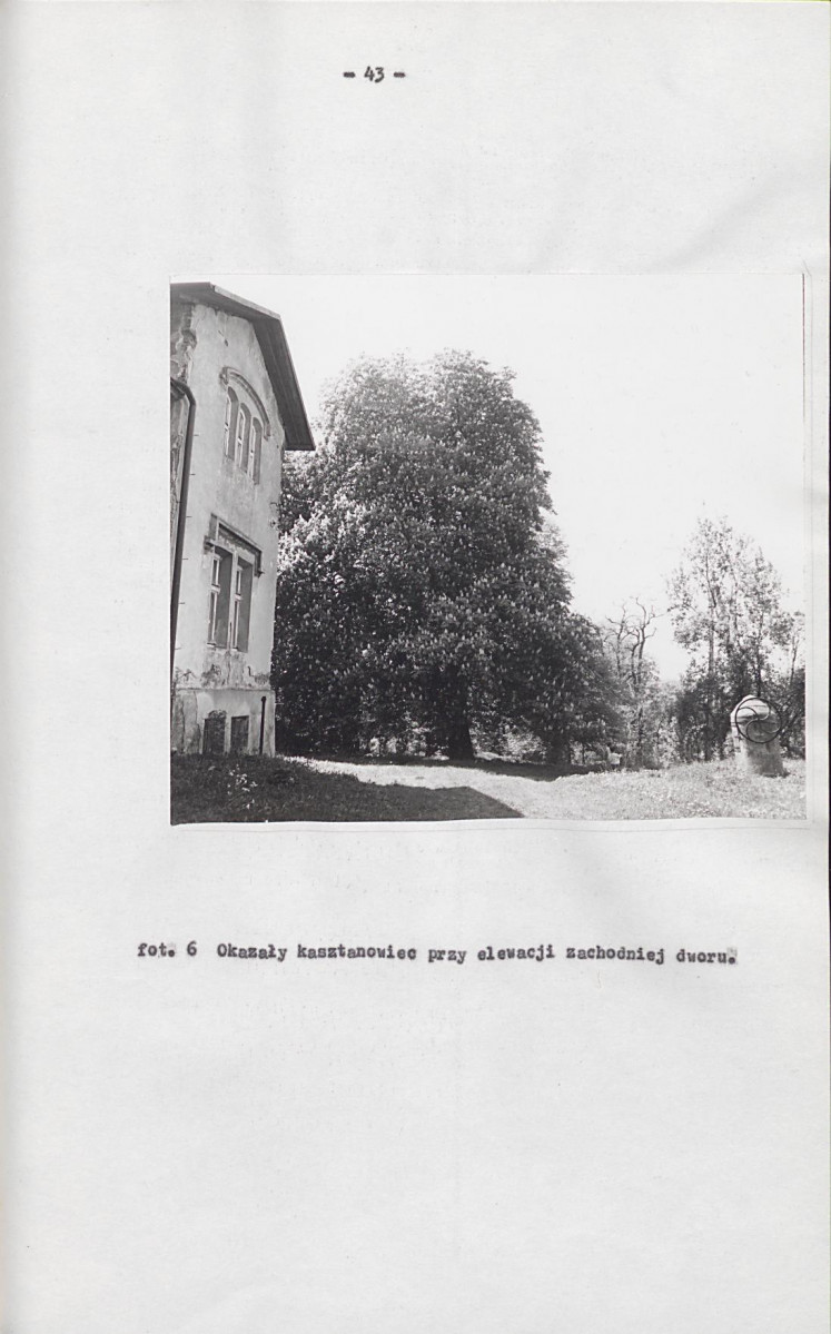 EP - Ewidencja parkowa, skan nr 52