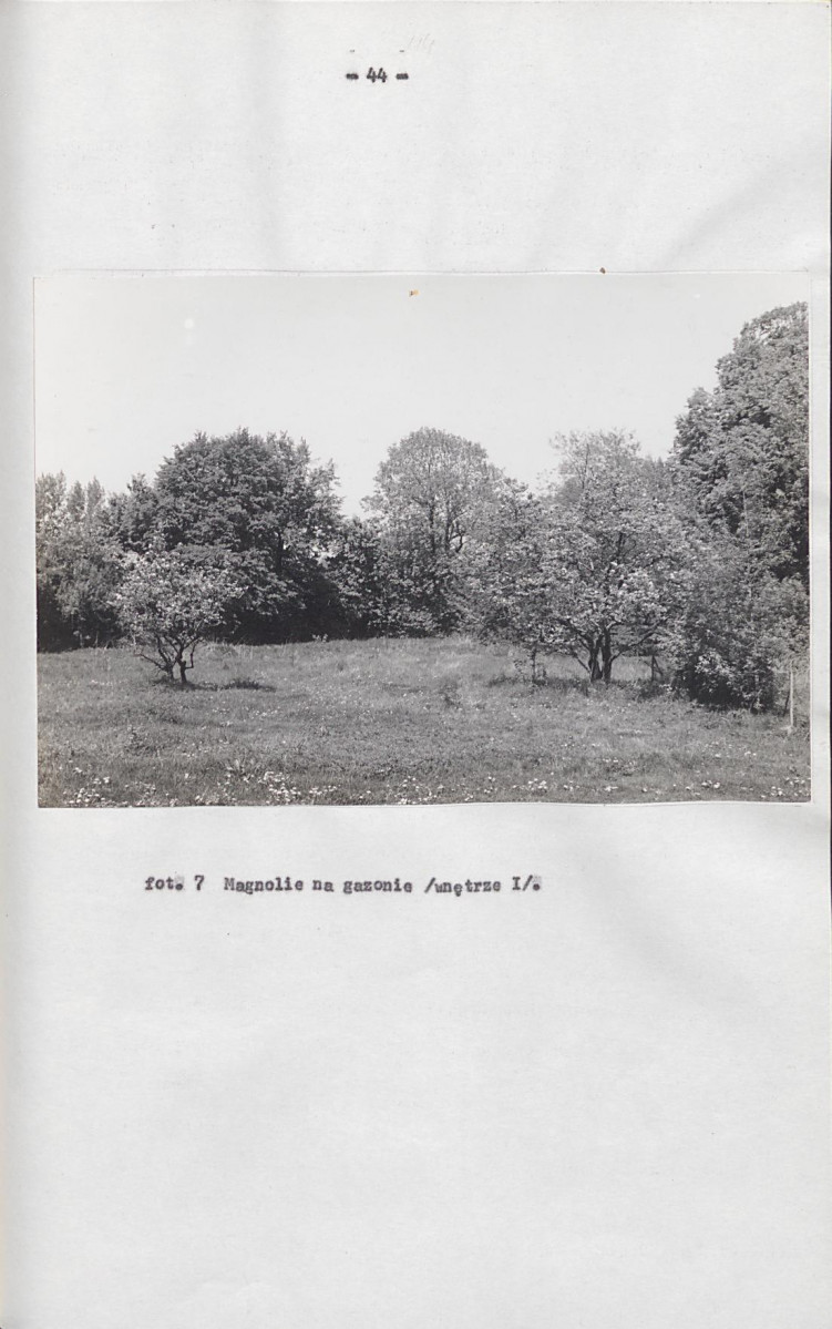 EP - Ewidencja parkowa, skan nr 53