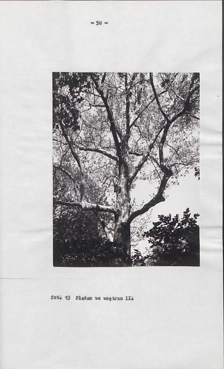 EP - Ewidencja parkowa, skan nr 59