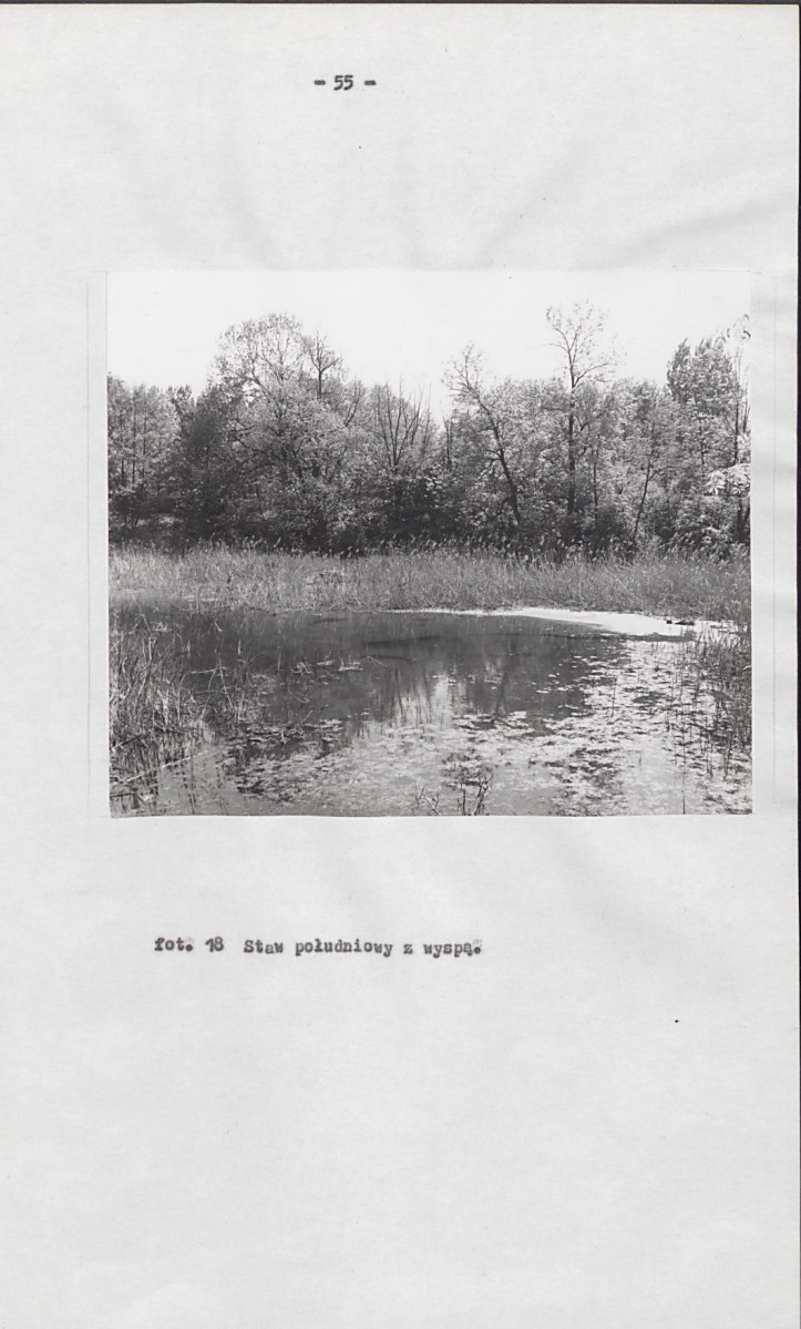 EP - Ewidencja parkowa, skan nr 64