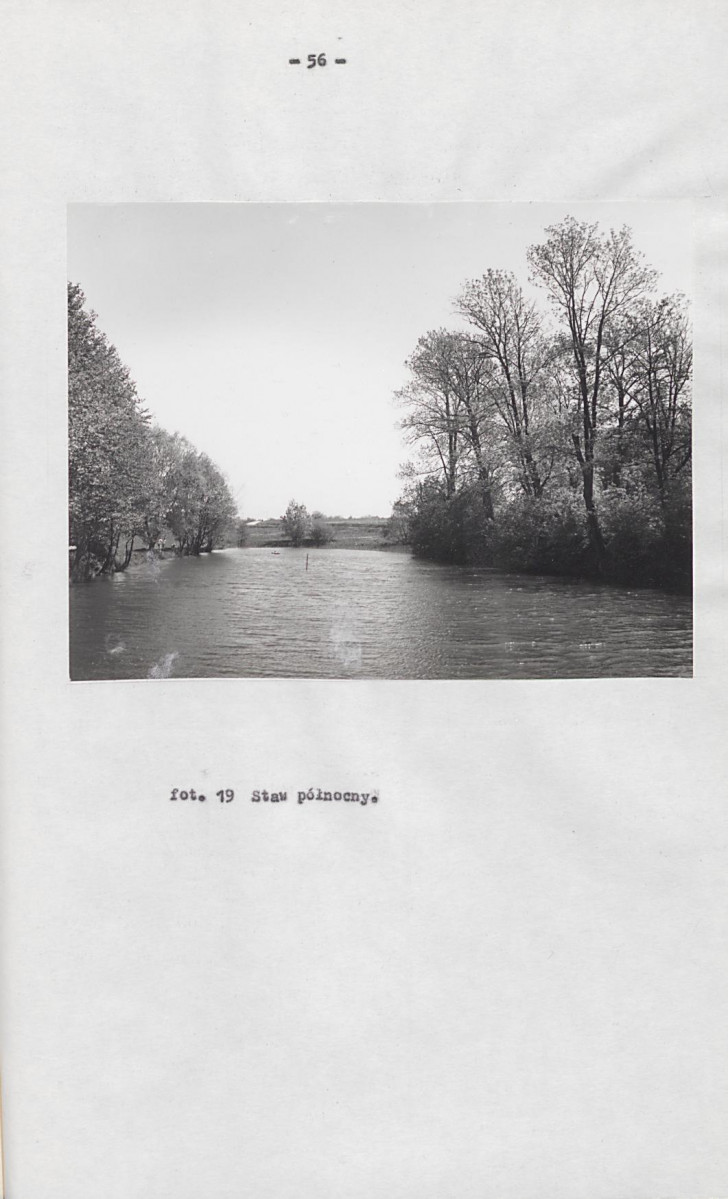 EP - Ewidencja parkowa, skan nr 65