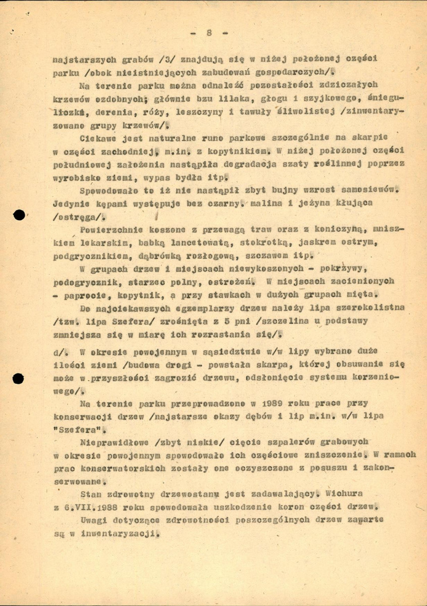 EP - Ewidencja parkowa, skan nr 13