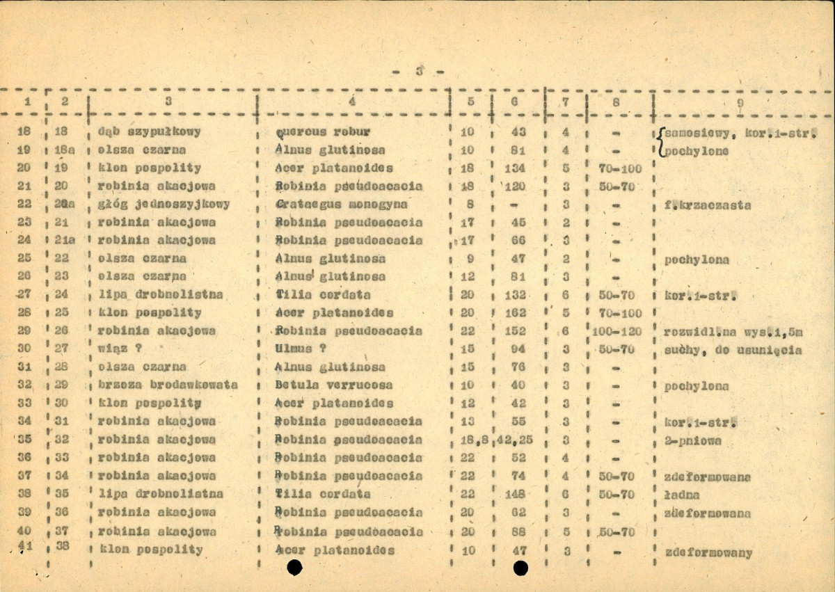 EP - Ewidencja parkowa, skan nr 25