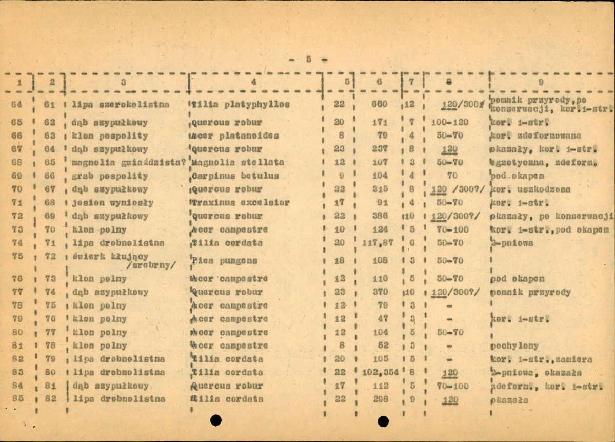 EP - Ewidencja parkowa, skan nr 27