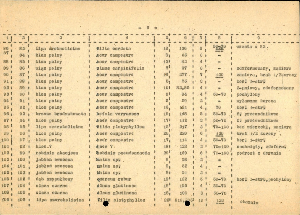 EP - Ewidencja parkowa, skan nr 28