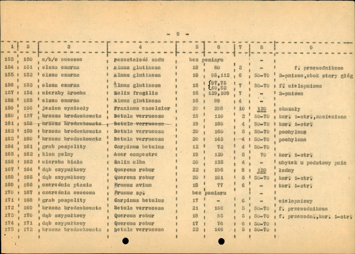 EP - Ewidencja parkowa, skan nr 31