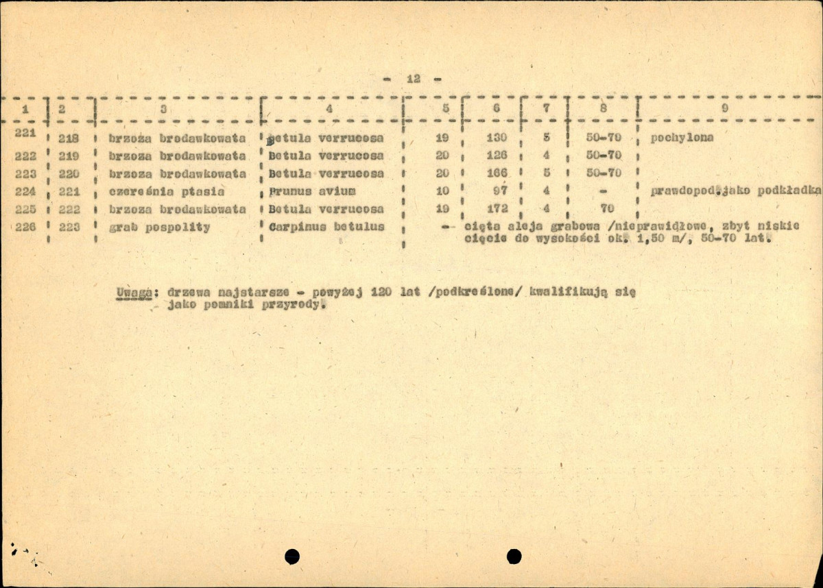 EP - Ewidencja parkowa, skan nr 34