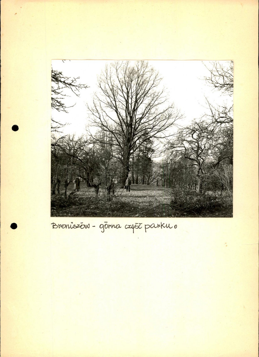 EP - Ewidencja parkowa, skan nr 37