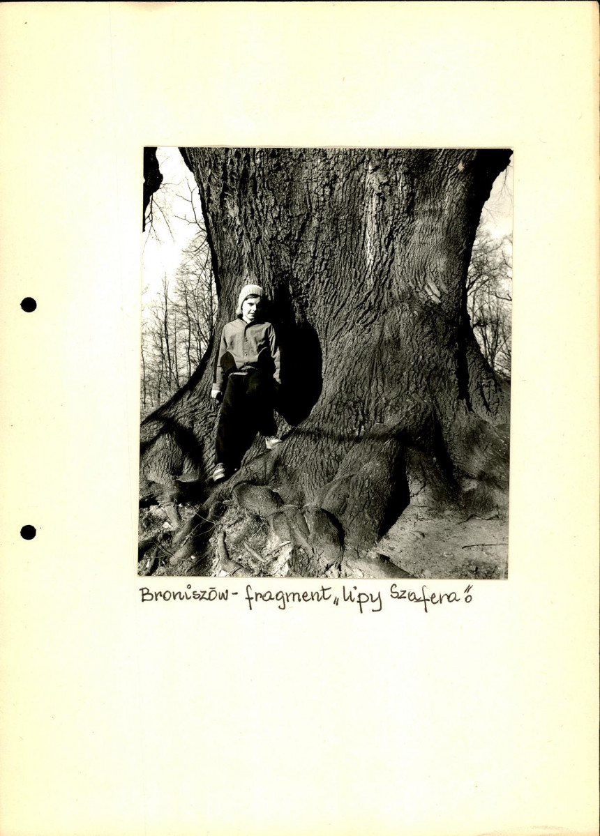 EP - Ewidencja parkowa, skan nr 39