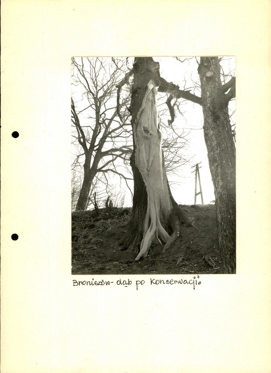 EP - Ewidencja parkowa, skan nr 41