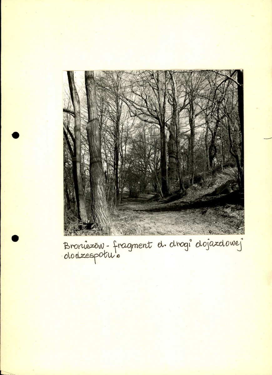 EP - Ewidencja parkowa, skan nr 42